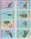 CHINA WWF MARSUPIAL KANGAROO WALLABY WOMBAT GLIDER POSSUM CUSCUS KOALA OPOSSUM SET OF 8 CARDS - Jungle