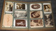 Delcampe - Album 750 Cartes Postales Toute En Photos - 500 Postcards Min.