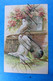 Pigeons SierDuif Duiven Tuimelaar?  1907 Relief Gaufre Serie 5283 - 1900-1949