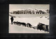 Greenland 1966 Erste Deutsche Nordpol Expedition - Peary Land Interesting Postcard - Arctic Expeditions