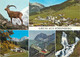 Postcard Switzerland Steinbock Rothorn 1978 - Stein