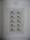 Delcampe - Europa -cept 1979 Through 1982 MNH . All In A Luxury Leuchttrum Album. See Scan. - Collections