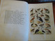 Delcampe - 1953 The Birds Of South Africa AUSTIN ROBERTS Ornithology Le Monde De L'ornithologie - Vita Selvaggia