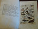 Delcampe - 1953 The Birds Of South Africa AUSTIN ROBERTS Ornithology Le Monde De L'ornithologie - Fauna