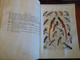 Delcampe - 1953 The Birds Of South Africa AUSTIN ROBERTS Ornithology Le Monde De L'ornithologie - Vida Salvaje