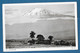 TANZANIA KILIMANJARO 1956 KENYA UGANDA TANGANYKA N°E828 - Tanzanie