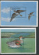 Turkmenistan:Unused Sheets And Blocs Birds, Duck, Crow, 2002, MNH - Turkmenistán