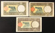 50 Lire Lupa Capitolina 3 Es. Diversi 1938 Roma  1942 Roma 1942 L'aquila  LOTTO 4225 - Colecciones