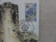 Carte Postale 1er Premier Jour Europa Chateau De Sant Vicens 30 Avril 1977  Andorre-la-Vieille - Lettres & Documents