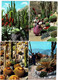 Lot 12 Cpm MONACO Jardin Exotique CACTUS âne Azur Agave Coussin De Belle-mère Candélabre Costume  SANARY BANDOL GIENS - Cactus