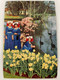 CPSM - PAYS BAS - KEUKENHOF - Lisse Holland - Costume Fleurs Cygnes - Lisse