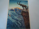 SWITZERLAND    POSTCARDS  1933 ANIMALS MARMOLE BACK PAINTING POSTMARK CHAMPENY - Cham