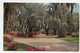 AK 107113 USA - Georgia - Savannah - Scene In Bonaventure Cemetery - Savannah