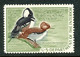 HUNTING PERMIT STAMP - DUCKSTAMP 1968- MLH - (RW35) - Duck Stamps
