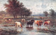 TUCK OILETTE  Art Post Card - THE MEADOW STREAM  WITH CATTLE Cpa 1918 ♥♥♥ - Tuck, Raphael