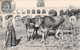 CPA Thèmes - Agriculture - Périgeux - Paysans En Péridgord - Les Arcades - Oblitérée Hiberac Et Paris 1907 - Animée - Equipos