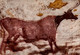 MONTIGNAC-SUR-VEZERE  ( DORDOGNE )  GROTTE DE LASCAUX . DIVERTICULE PAROI GAUCHE  : VACHE A TETE NOIRE ET A CORPS ROUGE - Montignac-sur-Vézère