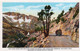 YOSEMITE - THE TIOGA ROAD AND THE HIGH SIERRA BETWEEN LAKE TAHOE AND YOSEMITE NATIONAL PARK - CARTOLINA FP NUOVA - Yosemite