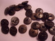 ♥️ VENERIE CHASSE EQUITATION LOT DE 25 BOUTONS ANCIENS CHEVAL  BUTTON HUNTING CACCIA VERFOLGUNGSJAGD - Botones