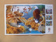 MAESTER PIECES PUZZLE (1000 P) - AUDUBON - LA VIE AU LAC / LAKE LIFE - Puzzle Games