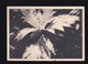 Wallis Et Futuna. Timbres Sur Carte Ionyl - Briefe U. Dokumente