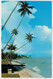 C.P.  PICCOLA   BEDOK  BEACH    SINGAPORE      2 SCAN  (NUOVA) - Singapour