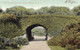 BUFFALO - IVY BRIDGE - DELAWARE PARK - BUFFALLO - N.Y. - CARTOLINA FP SPEDITA NEL 1908 - Buffalo