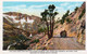 YOSEMITE - THE TIOGA ROAD AND THE HIGH SIERRA BETWEEN LAKE TAHOE AND YOSEMITE NATIONAL PARK - CARTOLINA FP NUOVA - Yosemite