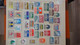 AN81 Collection De Blocs Et Timbres ** Des Nations Unies . A Saisir !!! - Collections (with Albums)