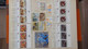 AN81 Collection De Blocs Et Timbres ** Des Nations Unies . A Saisir !!! - Collections (with Albums)