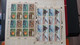 Delcampe - AN81 Collection De Blocs Et Timbres ** Des Nations Unies . A Saisir !!! - Collections (with Albums)