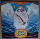 3 ALBUMS DE STEVE HILLAGE; FISH RISING, MOTIVATION RADIO, L - Instrumental