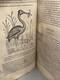 Delcampe - #LV30 - L'histoire De La Nature Des Oiseaux Et De Leurs Descriptions 1555 - Pierre Belon Du Mans Reliure Peau Manuscrite - Before 18th Century