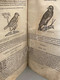 Delcampe - #LV30 - L'histoire De La Nature Des Oiseaux Et De Leurs Descriptions 1555 - Pierre Belon Du Mans Reliure Peau Manuscrite - Before 18th Century