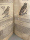 Delcampe - #LV30 - L'histoire De La Nature Des Oiseaux Et De Leurs Descriptions 1555 - Pierre Belon Du Mans Reliure Peau Manuscrite - Jusque 1700