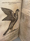 Delcampe - #LV30 - L'histoire De La Nature Des Oiseaux Et De Leurs Descriptions 1555 - Pierre Belon Du Mans Reliure Peau Manuscrite - Tot De 18de Eeuw