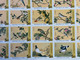 REPUBLIC OF CHINA/TAIWAN FAMOUS PAINTING OF BIRDS SET OF 25 IN SHEET UM MINT VERY FINE - Colecciones & Series