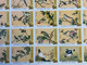 REPUBLIC OF CHINA/TAIWAN FAMOUS PAINTING OF BIRDS SET OF 25 IN SHEET UM MINT VERY FINE - Collections, Lots & Séries