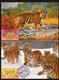 China Hongkong Maximum Card,2022 Year Of Tiger,4 Pcs - Maximumkaarten