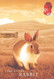 HONGKONG - POSTAL STATIONERY YEAR OF RABBIT 2011? Unc / ZB48 - Postal Stationery