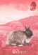 HONGKONG - POSTAL STATIONERY YEAR OF RABBIT 2011? Unc / ZB48 - Postal Stationery