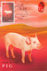 HONGKONG - MC YEAR OF PIG 2007  / ZB49 - Maximumkarten