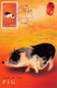 HONGKONG - MC YEAR OF PIG 2007  / ZB49 - Cartoline Maximum