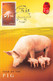 HONGKONG - MC YEAR OF PIG 2007  / ZB49 - Cartes-maximum