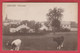 Renlies - Panorama ... Du Village- Paysage Bucolique, Vaches  1930 ( Voir Verso ) - Beaumont