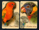 Singapore Old Phonecards Singtel Used 2 Cards Parrots Birds - Papageien