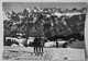 FLUMSERBERG Skilift Mittenwald Mit Blick Auf Sichelchamm Und Gamsberg - Gams