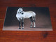 57555-      LARGE SIZE CARD - APPROX. 12 X 16.5 CM. / HORSE, HORSES, PAARDEN, PFERDE, CHEVAUX, CABALLOS, CAVALLI - Chevaux