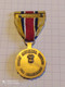 MEDAILLE USA ARCAM GARDE NATIONALE ARMY RESERVE, FOR ACHIEVEMENT(1) - USA