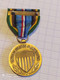 USA, MEDAILLE ARME'D FORCES, EXPEDITIONNARY SERVICES - Verenigde Staten